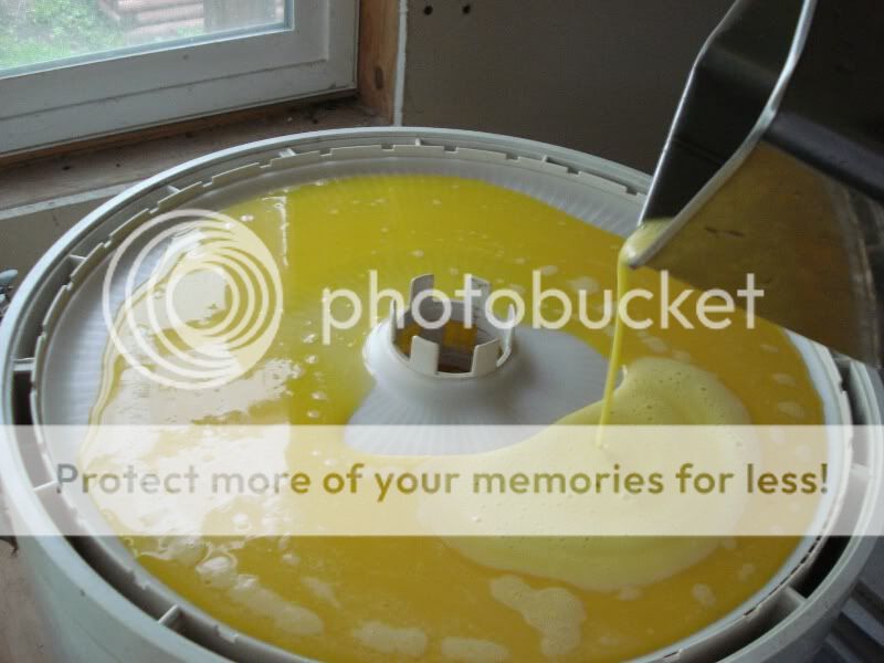 Homemade Powdered Eggs